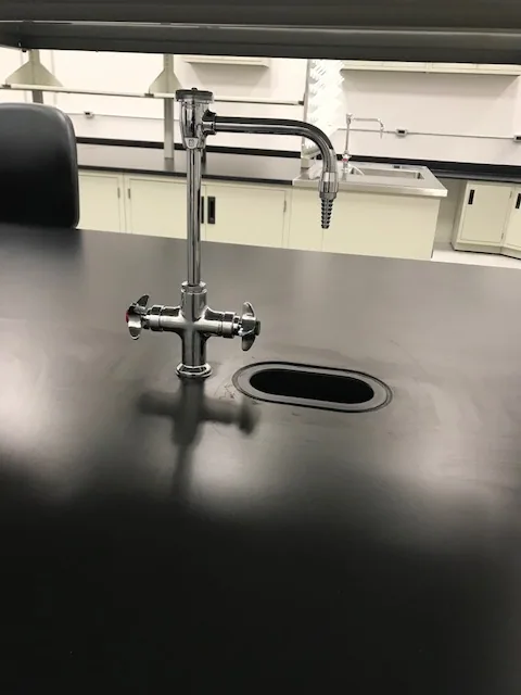 Sinks for laboratory spaces by Lab Setup America
